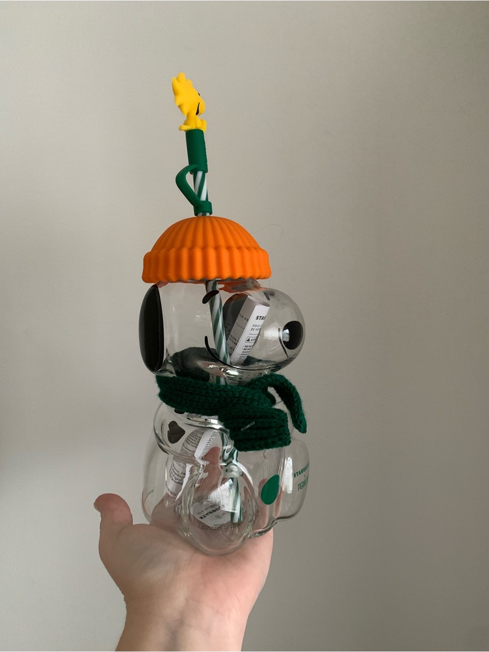 Starbucks x Peanuts Snoopy cup